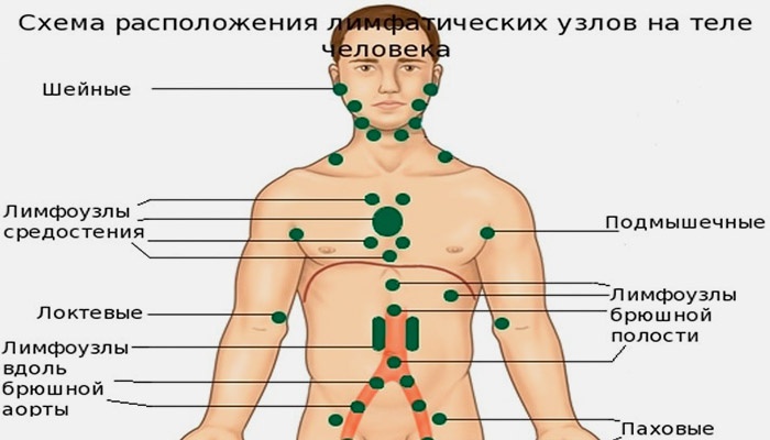 Автомобилист. org - Клуб любителей автомобилей Cached
