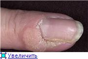 Надписи для тату: фразы. - Корки. lol Модный маникюр фото, модный дизайн ногтей - идеи