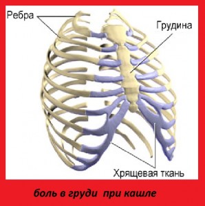 Болит в грудной клетке при кашле как лечить Болит в грудной клетке при кашле как лечить