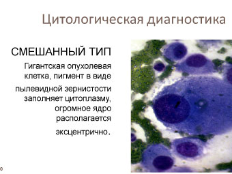 Цитология клеток кожи Цитология клеток кожи