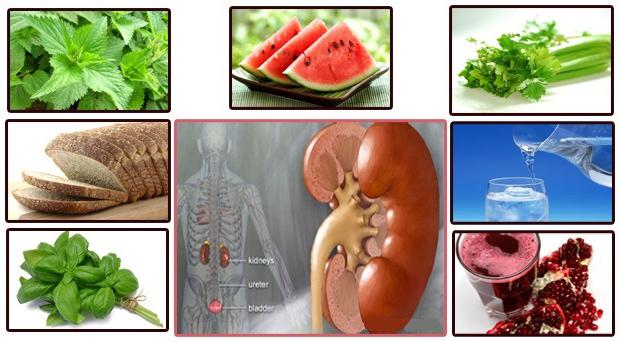 Healthy Diet For Kidney Cancer