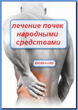 Болит левая почка лечение в домашних условиях