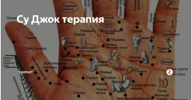 Точки Отвечающие За Внутренние Органы Фото
