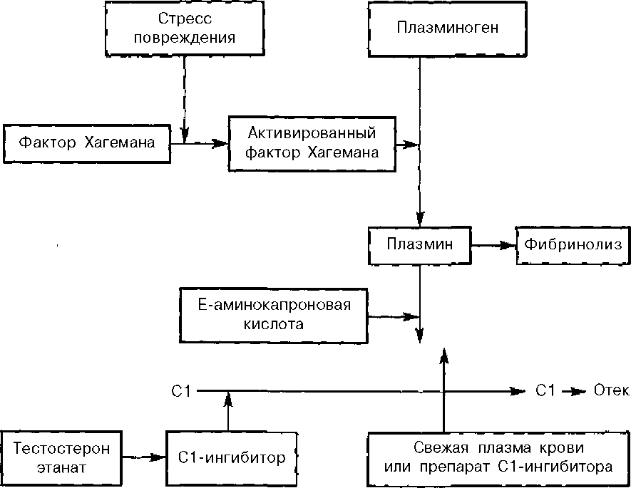 Отек схема. Отек Квинке патогенез схема. Механизм развития ангионевротического отека. Отёк Квинке патогенез схема. Аллергический отека Квинке патогенез.