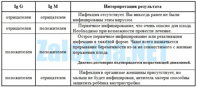 Igg отрицательный а igg положительный. Cytomegalovirus IGM отрицательный IGG положительный. CMV IGG положительный CMV IGM отрицательный. IGG положительный что это значит. Цитомегаловирус IGM отрицательный.