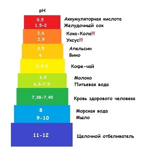 Ph среда человека. РН организма человека. PH человека. PH В организме человека. Уровень PH В организме человека.