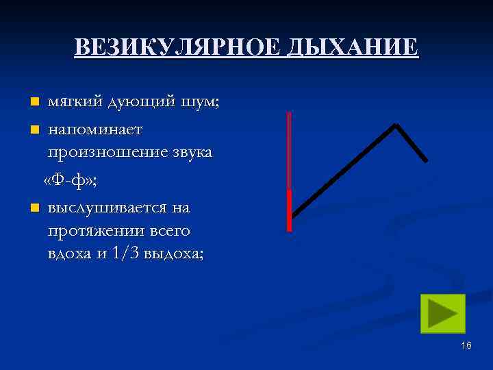 Везикулярное дыхание. Типы дыхания везикулярное. Везикулярное и бронхиальное дыхание. Везикулярное дыхание звук.