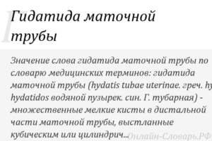 Гидатида трубы. Гидатида маточной трубы. Гидатида маточной трубы на УЗИ. Гидатида яичника у женщин на УЗИ.