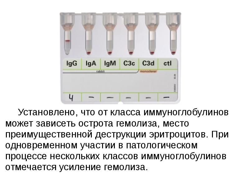 Фенотипирование. Фенотипирование эритроцитов расшифровка. Фенотипирование эритроцитов по антигенам расшифровка. Иммуногематология расшифровка. Основы иммуногематологии тесты.