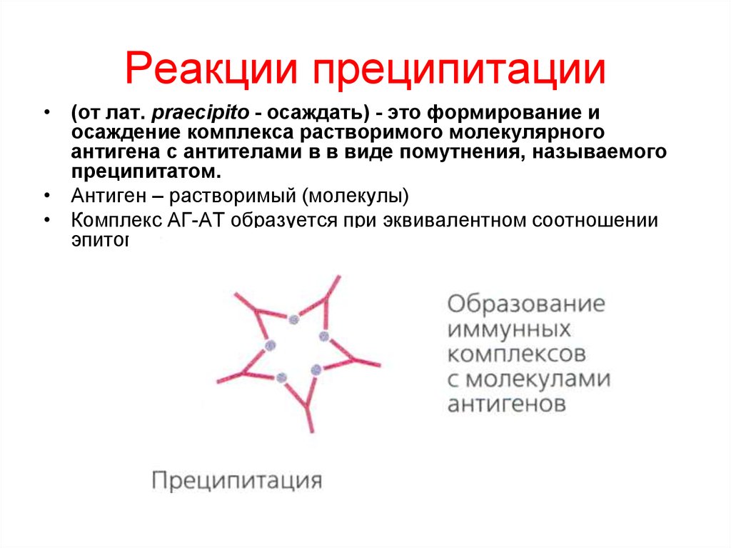 Кольцепреципитация реакция кольцепреципитации микробиология. Преципитации иммунных комплексов. Реакция преципитации микробиология кольцо. Реакция преципитации в геле микробиология. Преципитации иммунных комплексов.