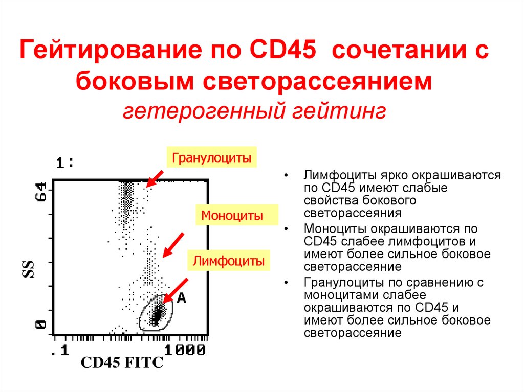 Cd45ra/cd45ro. Cd4 и cd8 лимфоциты. Cd21 рецептор. Cd4 клетки норма. Cd маркеры иммунология.