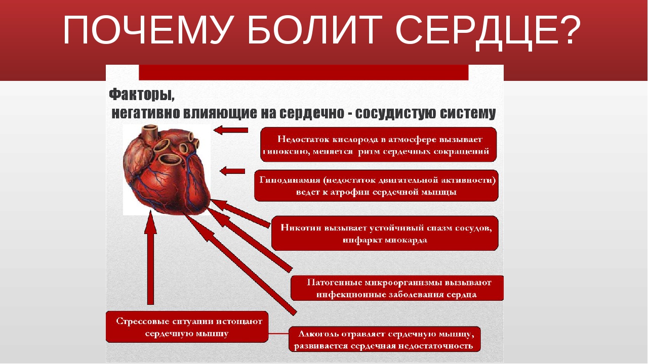 Причины боли сердца у мужчин. Почему может болеть сер. Причины сердечных болей. Почему болит сердце.