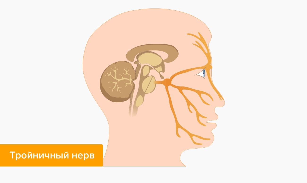 Лицевой нерв слева. Невралгия тройничного нерва. Защемление тройничного нерва. Невралгия тройничного лицевого нерва.