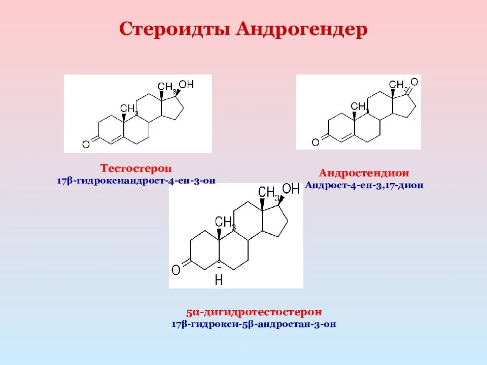 Стероидные гормоны картинки