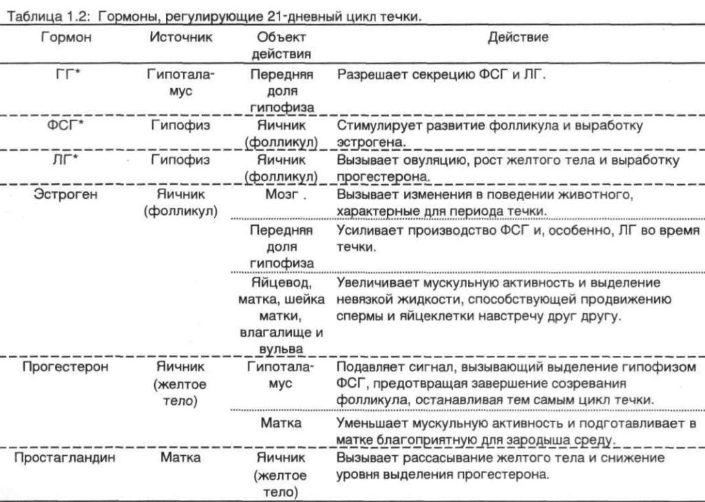 Гормоном беременности называют