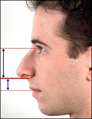 Широкий мужской нос. Мужской подбородок. Нос с горбинкой в профиль мужской.