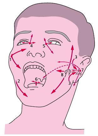 Боли тройничного лицевого нерва