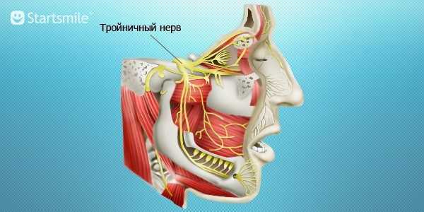 Невралгия тройничного нерва симптомы. Неврит лицевого нерва и тройничного нерва. Третичный нерв. Простудил тройничный нерв. Простудил тройничный нерв.