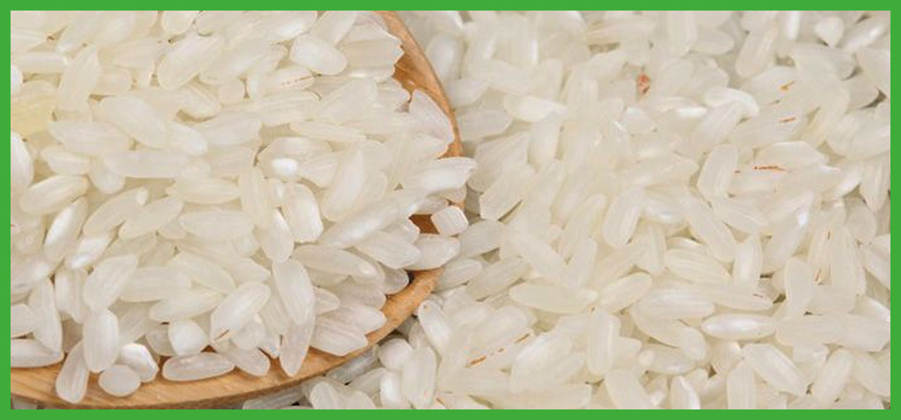 Круглый рис это какой. Круглый рис. Белый рис. Рис на белом блюде. Рис с белыми камушки.