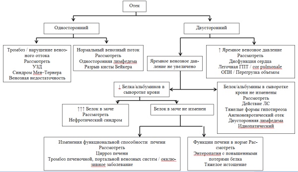 Наличие отеков. Выявление отеков алгоритм.