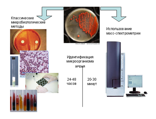 Метод масс. Метод масс-спектрометрии в микробиологии. Современные методы микробиологии. Масспектрометрия микробиология. Методы микробиологической лаборатории.