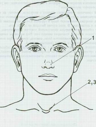 Где у человека яремная впадина