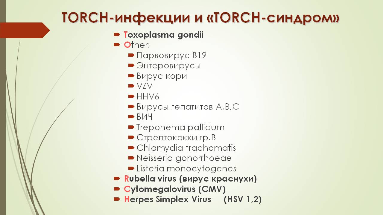 Torch cpp. Torch инфекции. Torch инфекции список. Профилактика торч инфекций. Возбудители торч инфекции.