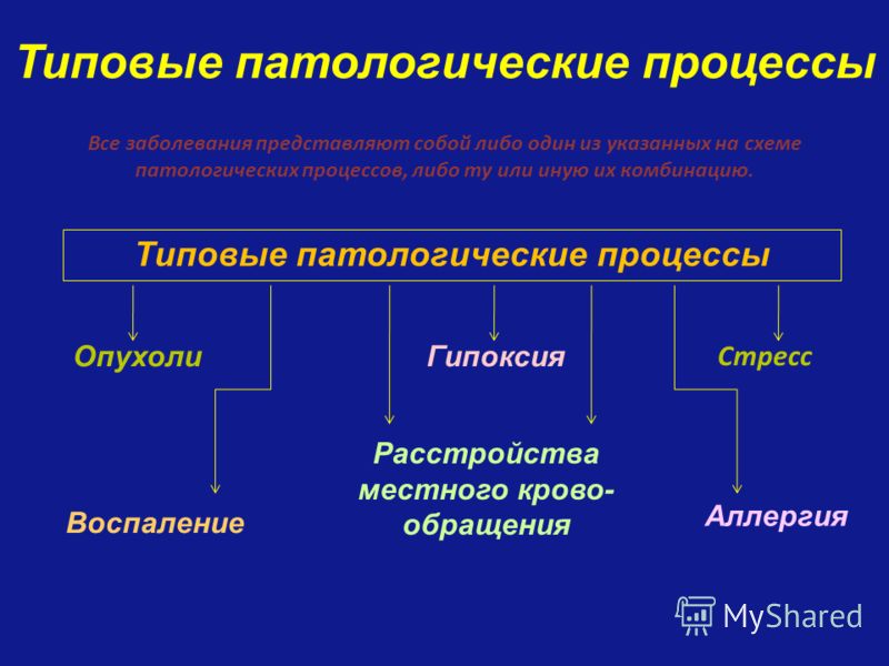 Патологии физиология. Типовые патологические процессы. Типовые патологические процессы патофизиология. Типовой патологический процесс примеры. Типичные патологические процессы.