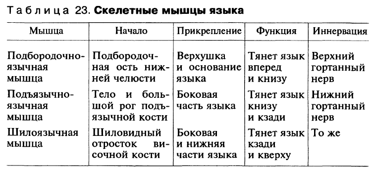 Мышцы языка. Скелетные мышцы языка таблица. Иннервация мышц языка таблица. Скелетные мышцы языка анатомия таблица. Наружные мышцы языка таблица.