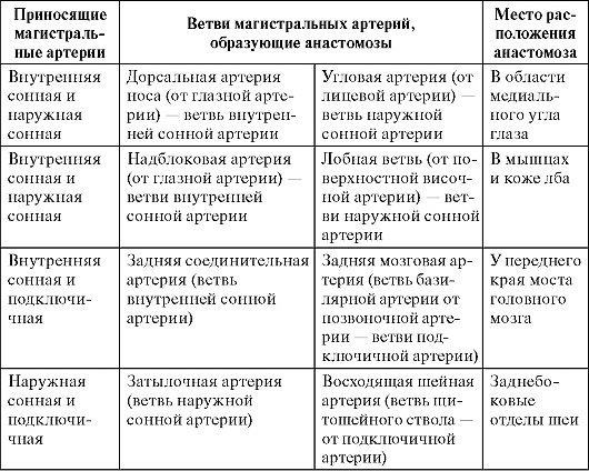 Таблица вен. Наружная Сонная артерия таблица. Анастомозы наружной сонной артерии таблица. Анастомозы артерий головы и шеи. Межсистемные анастомозы артерий головы и шеи.